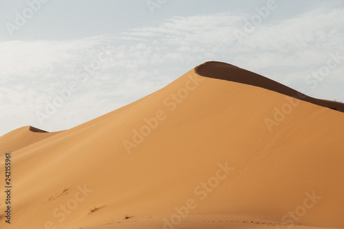 sand dunes in the desert