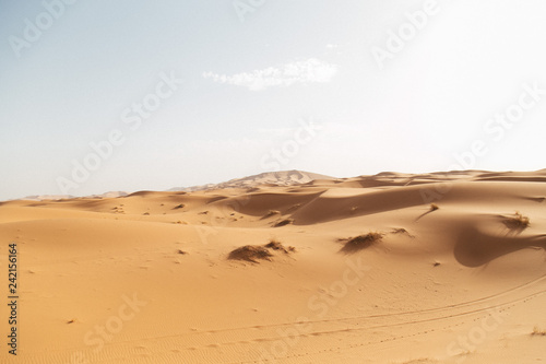 sand dunes in desert © DanielViero