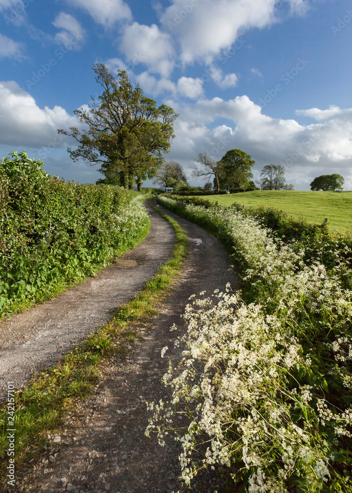 Somerset Lane Somerset Lane