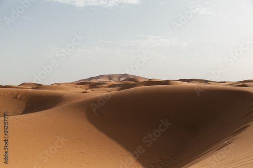 sand dunes in the desert