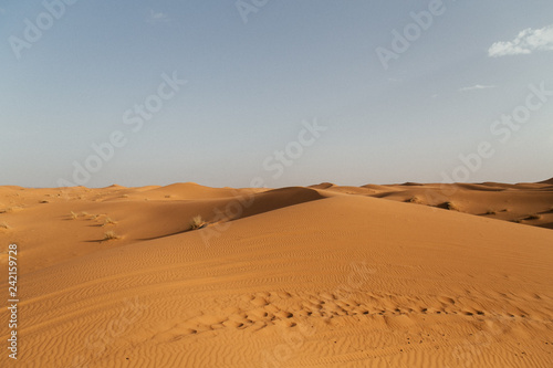 sand dune in desert