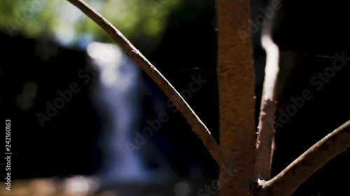 Shallow focus on tree branch with single spider web blowing in breeze. Blur bokeh background of cascading waterfall scene.