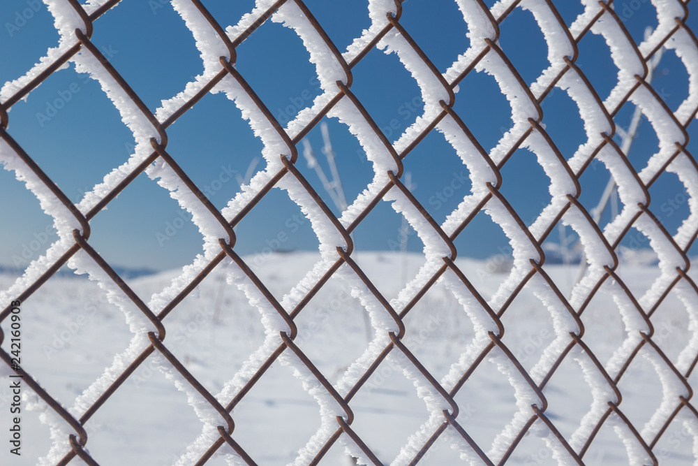 Frozen Iron Grate