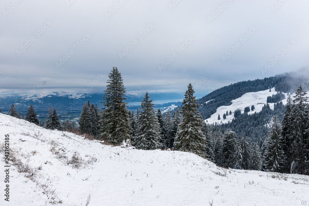 snowy winter landscape in the Gurnigel Area with view in direction of the Thunersee