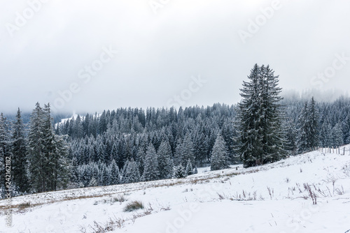 snowy winter landscape in the Gurnigel Area, Berner Oberland