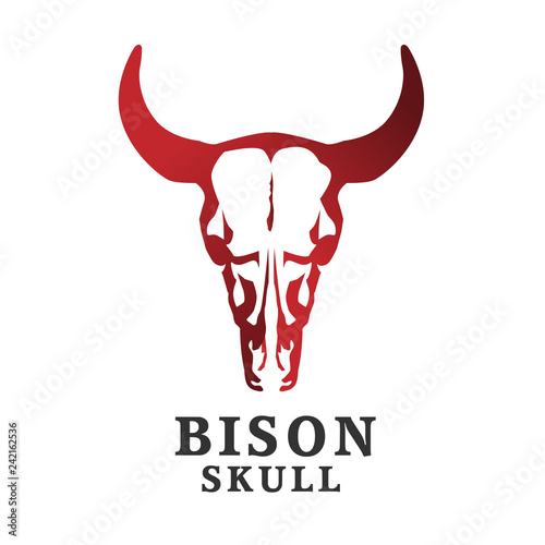  creative bison skull logo. Buffalo cranium vector illustration