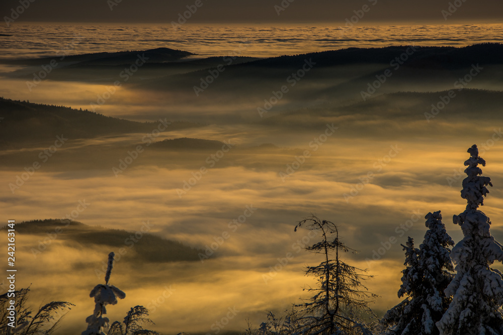 Widok z Jaworzyny Krynickiej  ,Beskid Sądecki po wschodzie słońca .