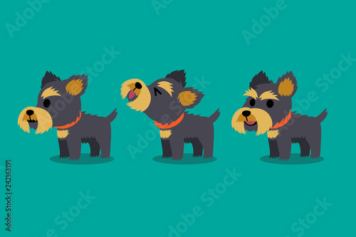 Set of vector cartoon character yorkshire terrier dog poses for design.