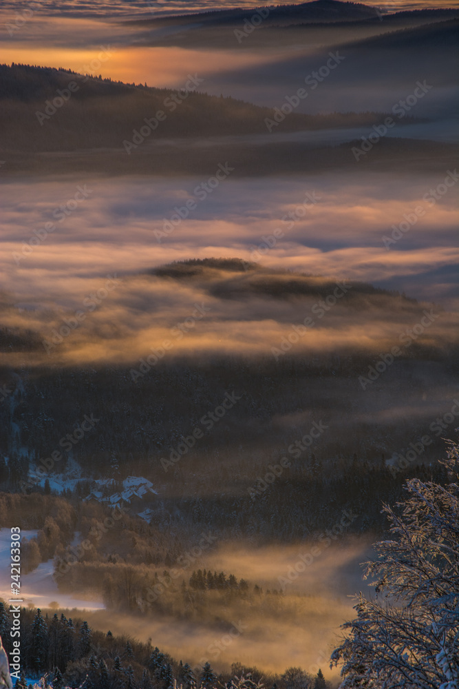 Nowo odbudowany zamek w Rytrze ,Beskid Sądecki.