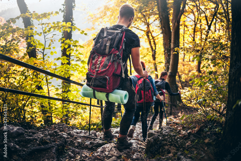 Travelers while trekking with backpacks on rocky forest trail