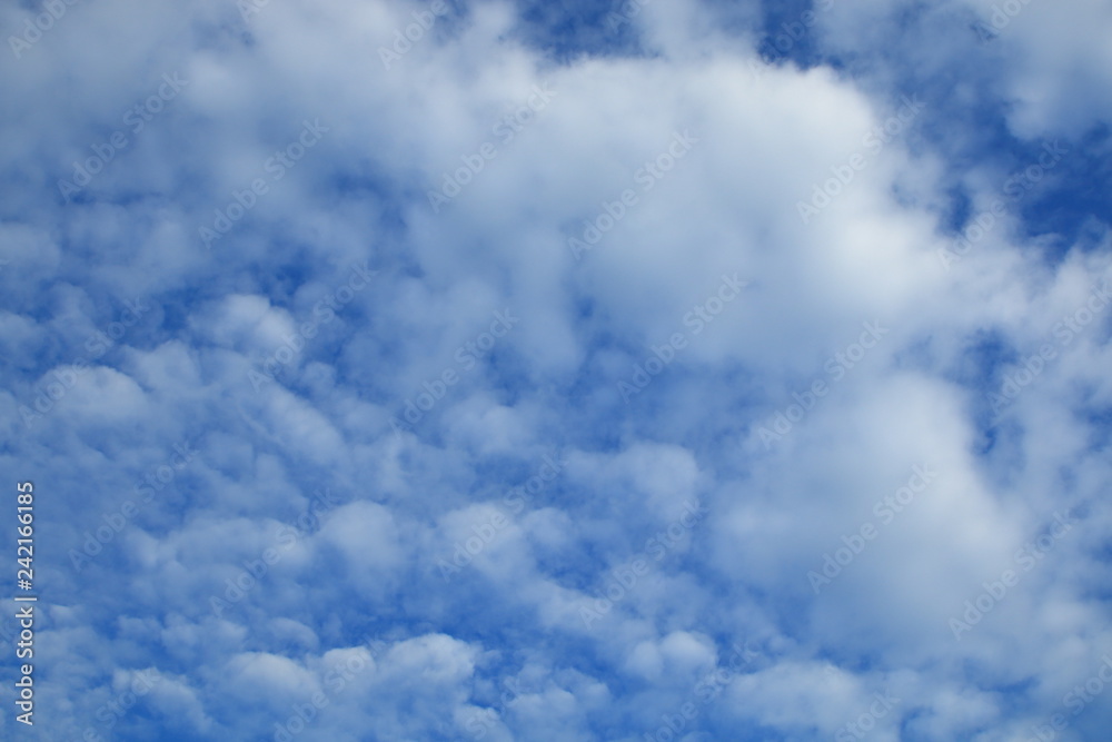 blue sky and white cloudy , beautiful heaven scene , Altocumulus pattern texture background . blue sky and white cloudy , beautiful heaven scene , Altocumulus pattern texture background .