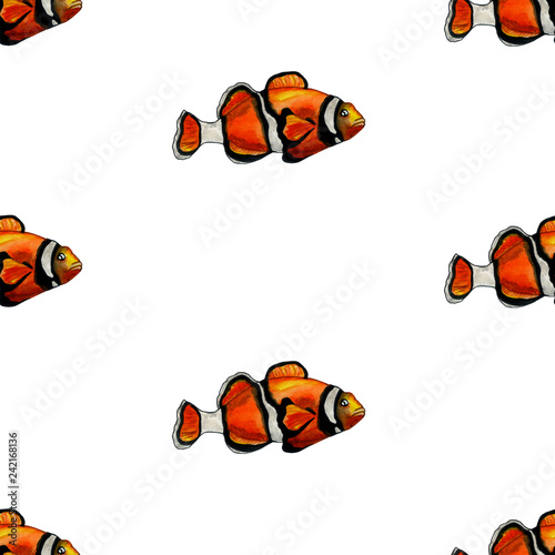 Tropical reef clown fish colorful  seamless pattern