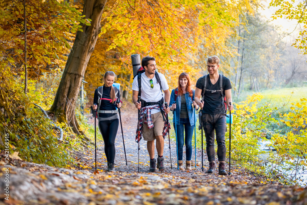 Group of hikers trekking in nature, walking through the woods Group of hikers trekking in nature, walking through the woods