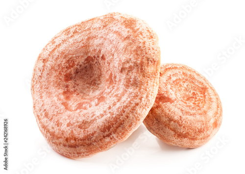 Saffron milk caps (Lactarius deliciosus) isolated on a white background photo