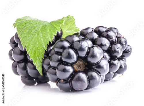 Blackberry with leaf isolated on white with clipping path