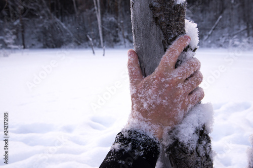 Canvastavla winter survive hand in the snow in the forest freezing man in the forest