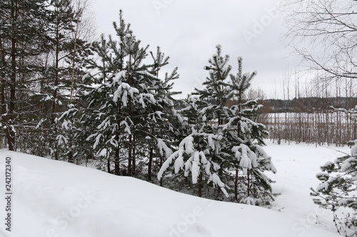 snow13