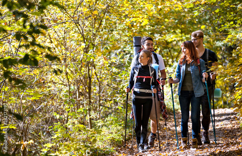 riends with backpacks trekking in nature, walking through the woods photo