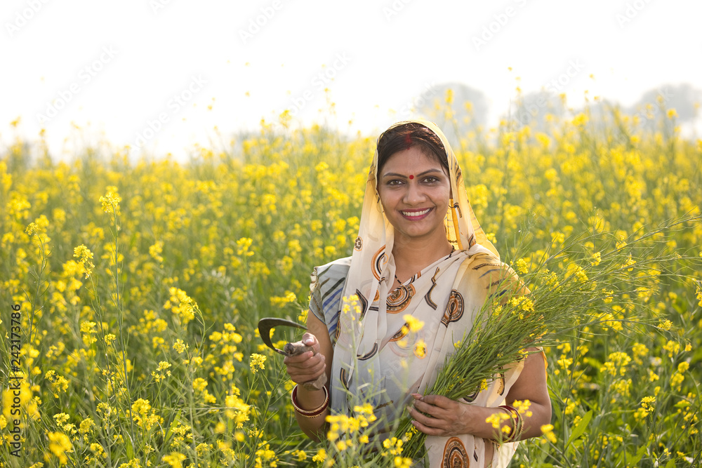 Fototapeta premium Rural Indian woman harvesting rapeseed in field