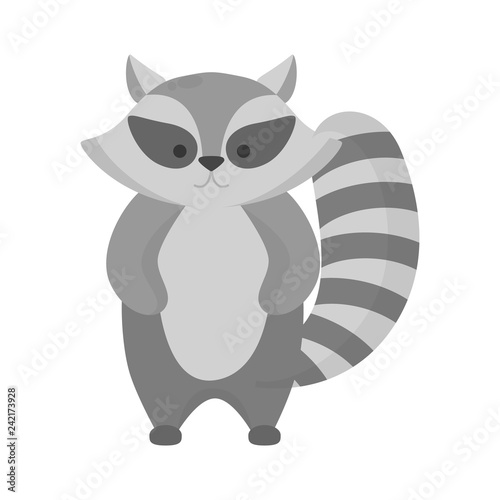 Cute funny racoon with black and grey fur.
