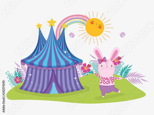 rabbit costume with circus big top and sun