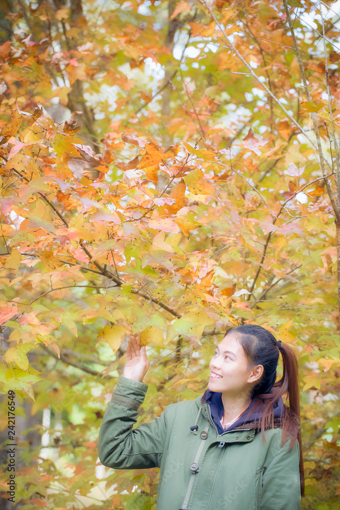 Portrait of a beautiful and slender girl against the backdrop of autumn trees.Walk in the park Portrait of a beautiful and slender girl against the backdrop of autumn trees.Walk in the park