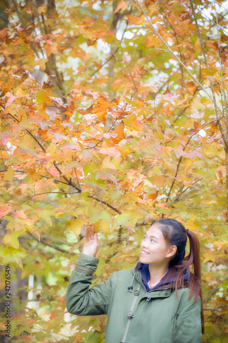 Portrait of a beautiful and slender girl against the backdrop of autumn trees.Walk in the park