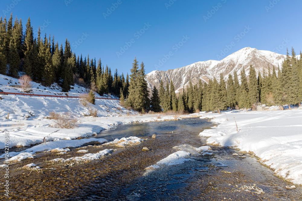 Mountain river's winter landscape