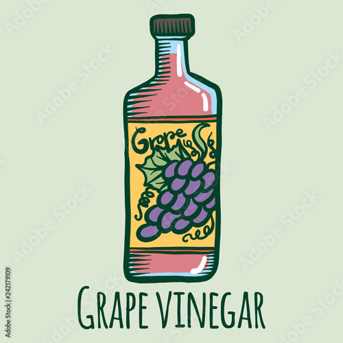 Grape vinegar icon. Hand drawn illustration of grape vinegar vector icon for web design