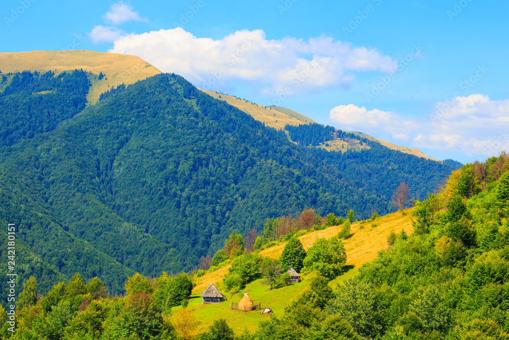 Nature in the mountains, beautiful scenery, beautiful mountain scenery, the Carpathian Mountains, a houses in the mountains.