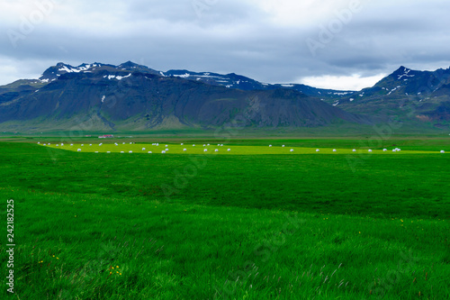 Landscape in the Snaefellsnes peninsula