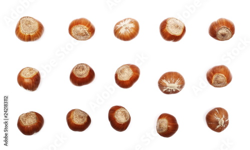 set hazelnuts isolated on white background, top view