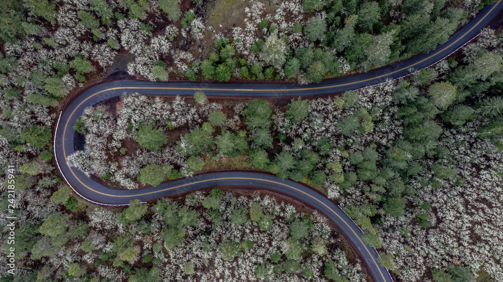 Columbia River Overlook