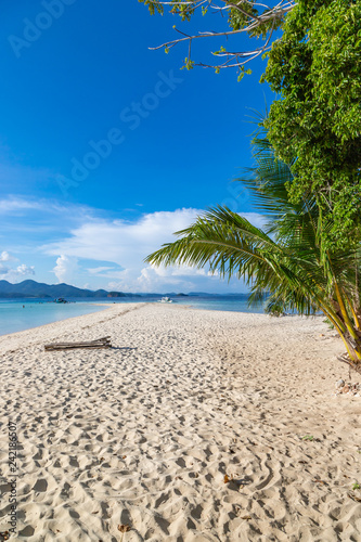View of tropical beach on the Ditaytayan island  Busuanga  Palawan  Philippines. Beautiful tropical island with sand beach  palm trees. Travel concept.