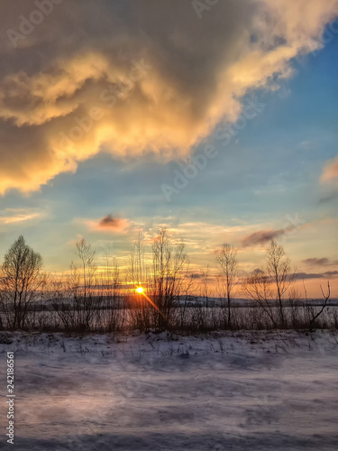 Winter landscape with field and trees during the sunset © zyoma_1986