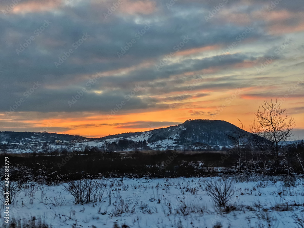 Winter landscape with field and trees during the sunset Winter landscape with field and trees during the sunset