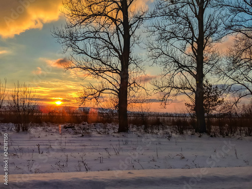 Winter landscape with field and trees during the sunset