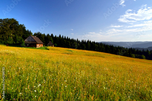 Rural landscape in evening. Wooden house, mountains, field and grass.