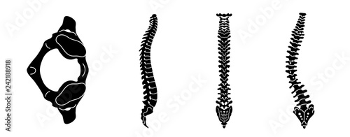 Spine icon set. Simple set of spine vector icons for web design on white background
