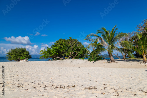 View of tropical beach on the Ditaytayan island  Busuanga  Palawan  Philippines. Beautiful tropical island with sand beach  palm trees. Travel concept.