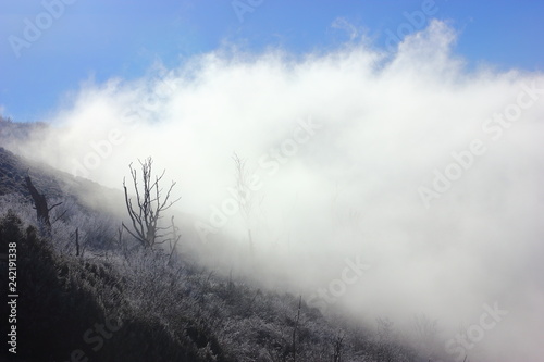 Niebla en la ladera © IbaiBarón