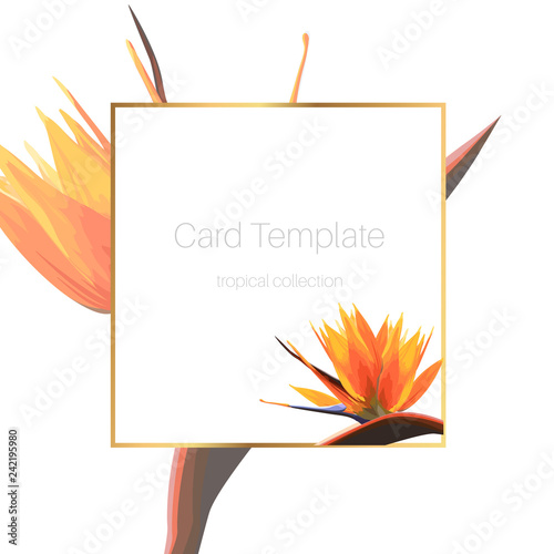 Exotic tropical bright orange strelitzia bird of paradise flower. Card banner flyer cover square border frame template.