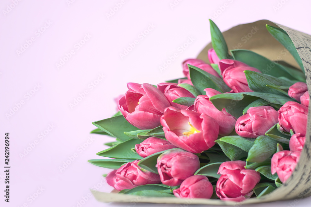 Delicate bouquet of pink tulips on a pink background, copy space Delicate bouquet of pink tulips on a pink background, copy space