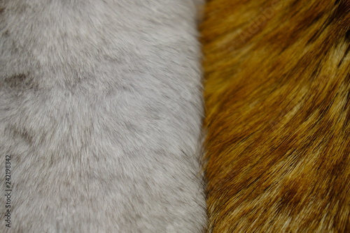 Mink fur for the production of fashionable fur coats background for the catalog © Artwell
