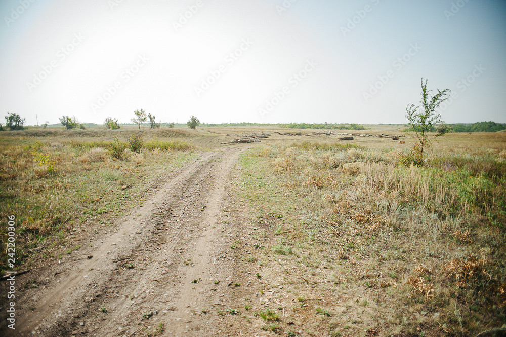 Obraz premium The road in nature and ecological landscape. Ecology and environmental protection. Ecology of transport. Pollution by emissions from cars. Green energy. Soft focus.