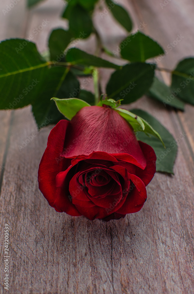 Red rose and Valentines day hearts on wood. Top view with copy space Red rose and Valentines day hearts on wood. Top view with copy space