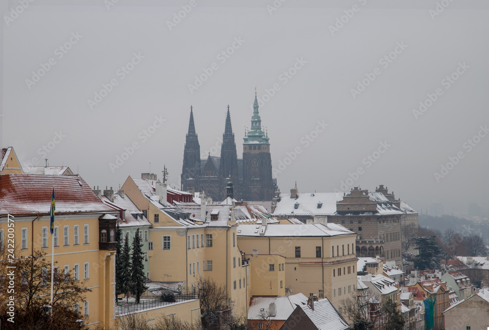 Obraz premium view of prague