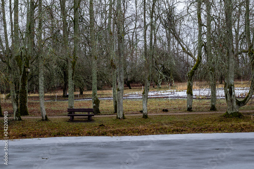 Cold winter day. The empty Park bench near the frozen lake.
