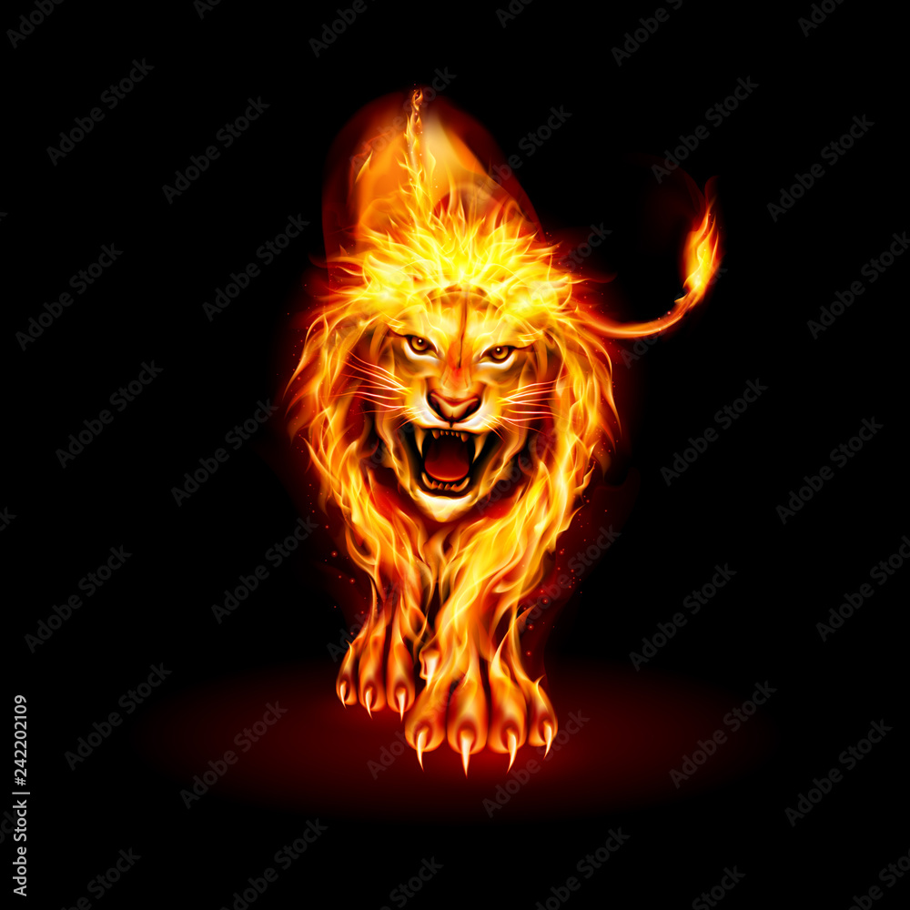 Fire Lion Fire Lion