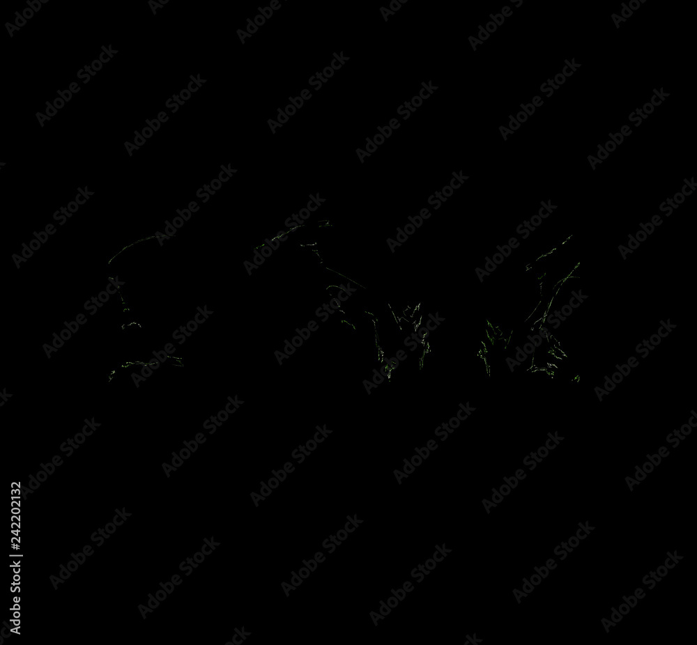 Obraz premium Green white fractal pattern. Fantasy fractal texture. Digital art. 3D rendering. Computer generated image.